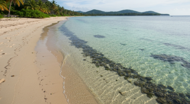 Tropische Insel nahe Mauritius: Lagune ohne Touristen