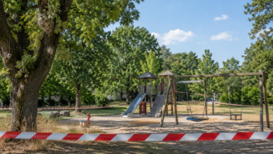 Eichenprozessionsspinner Spielplatz