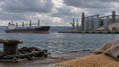 Frachtschiff an einem Hafen mit Getreidesilos als Symbolbild für Schwarzmeerhandel - Bildinhalt mit KI erstellt